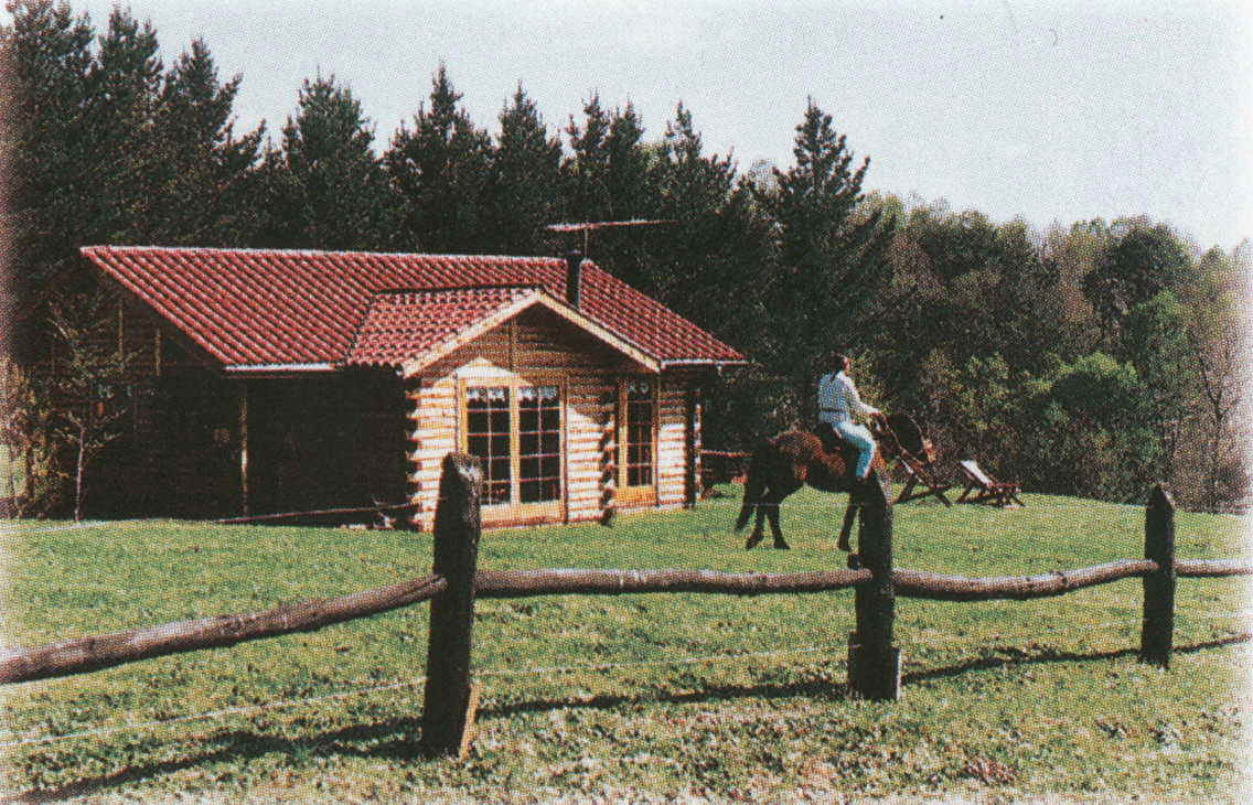 wpe1.jpg (152428 bytes)